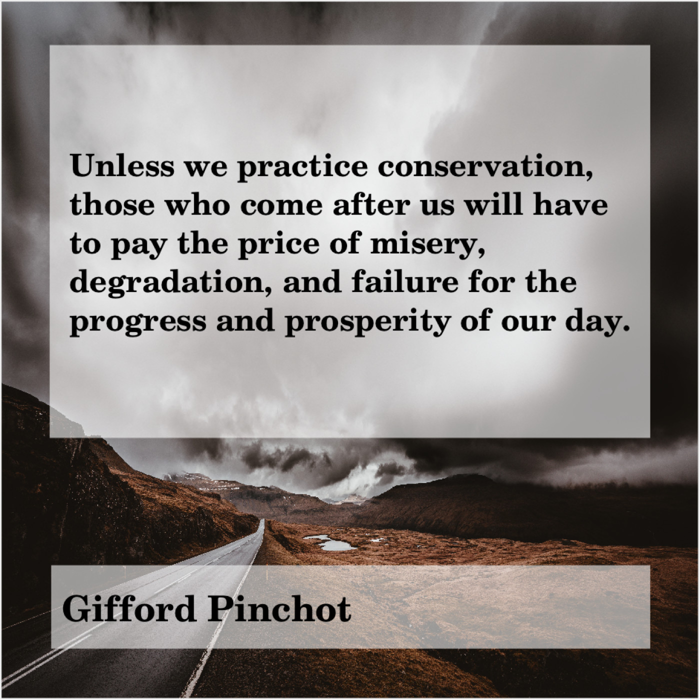 Gifford Pinchot Unless we practice conservation, those… Success